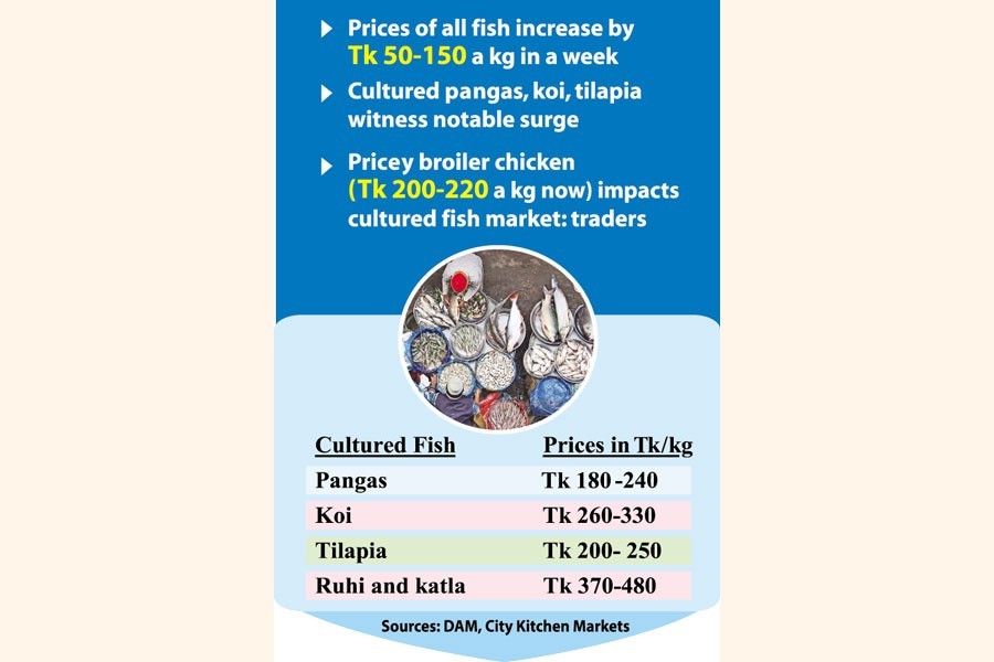 Fish now starts rocketing on pricey meat